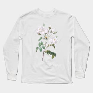 Rosa campanulata alba also known as Pink Bellflowers to White Flowers from Les Roses (1817–1824) Long Sleeve T-Shirt